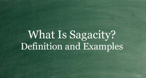 WHAT IS SAGACITY