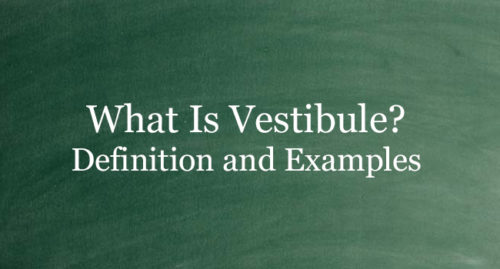WHAT IS VESTIBULE