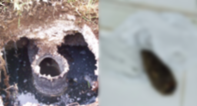 Vintage Bomb Found In Septic Tank In Palompon, Leyte