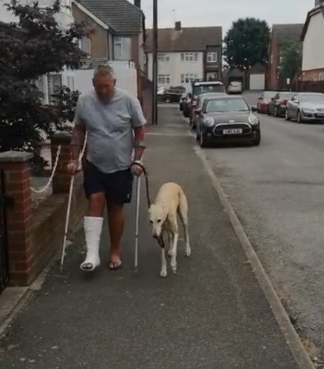 Pet Dog Fakes Limp