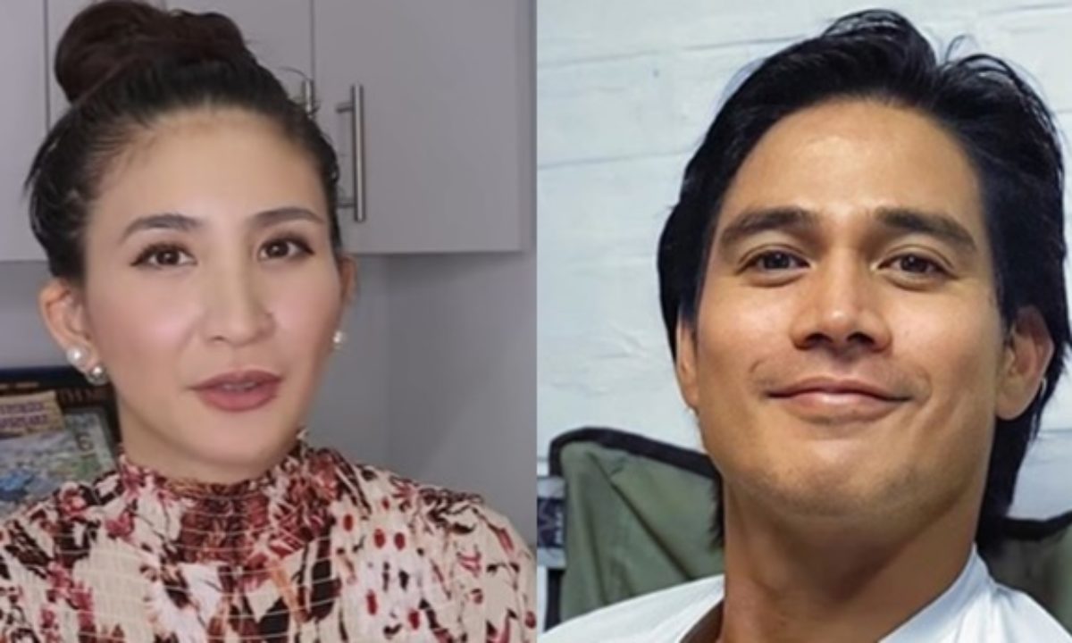 Piolo pascual wife