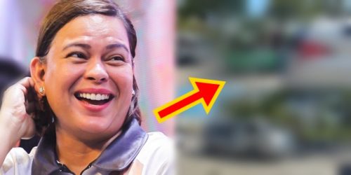 Sara Duterte, Run Sara van