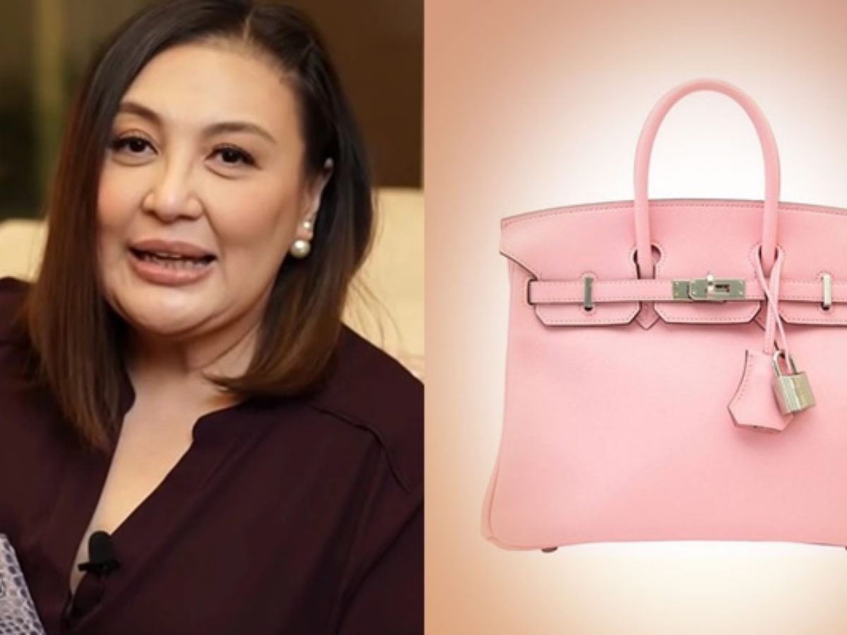 sharon cuneta birkin bag