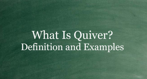 WHAT IS QUIVER