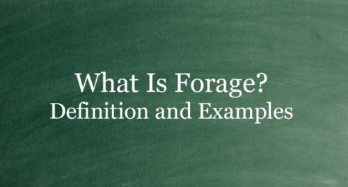What Is Forage