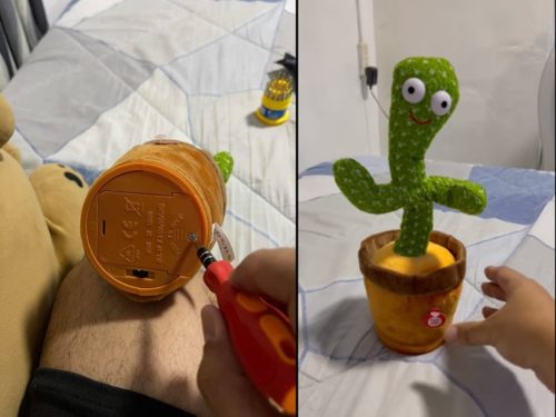 Cactus Toy