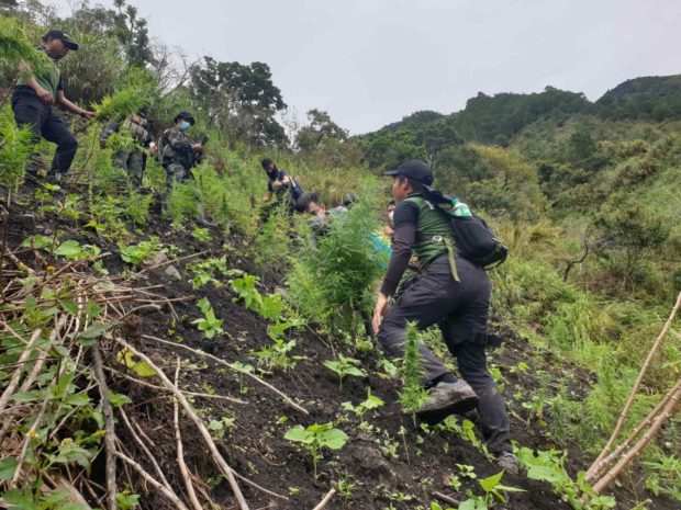 PDEA Operatives