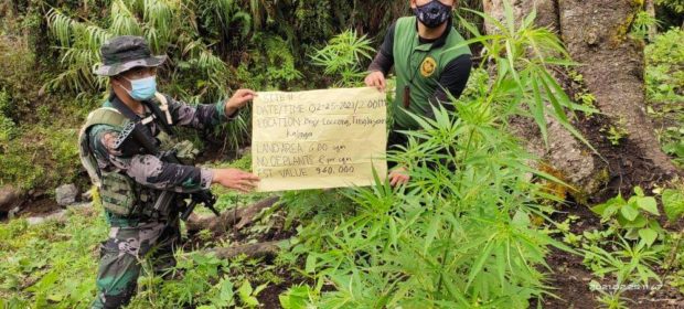 PDEA Operatives