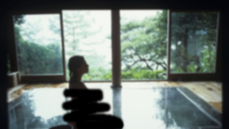 Undressed Hotel Guests
