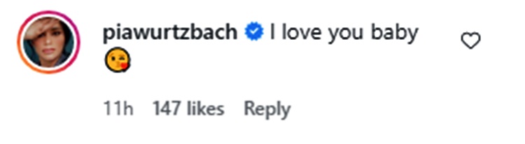 pia wurtzbach account comment