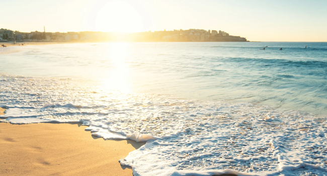 SUMMER QUOTES