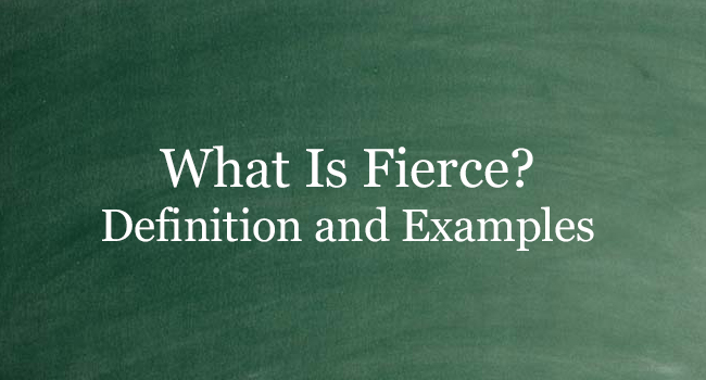fierce meaning  definition of fierce at