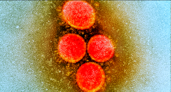 Philippines Confirms South African COVID-19 Strain