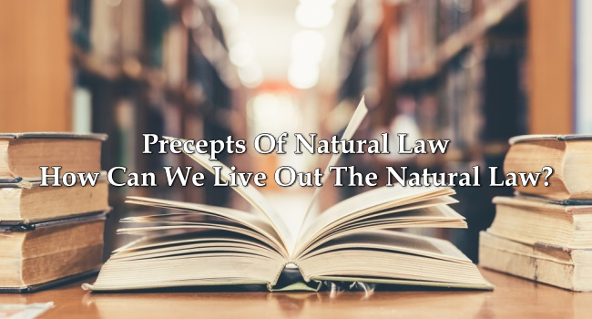 precepts-of-natural-law-how-can-we-live-out-the-natural-law