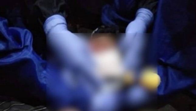 Rights Lawyer Survives Attack