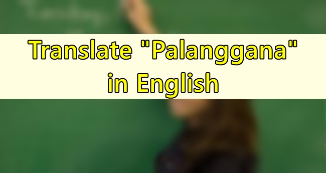Palanggana in English