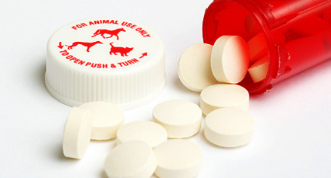 Ivermectin Granted Special Permit For Use In One Hospital Says FDA