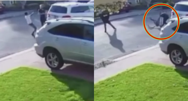 Armed Robber Squeals Like Pig After Victim Slams Him On The Ground