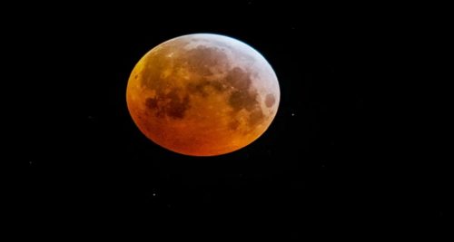 Super Flower Blood Moon