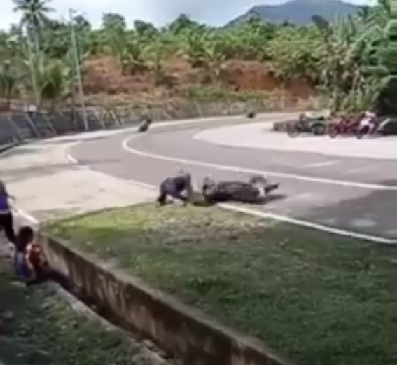 Rider Risk Life Propose