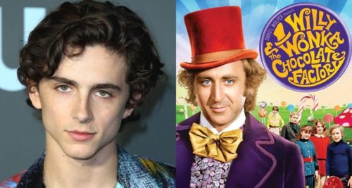 timothee chalamet wonka movie