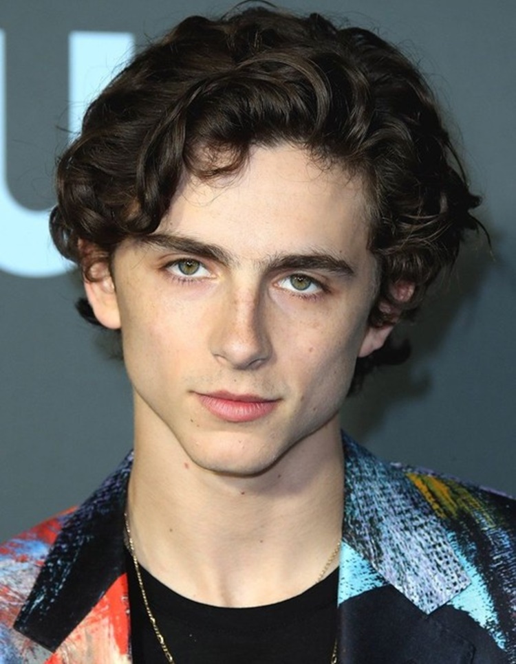 Wonka Movie: Timothée Chalamet to Play Young Willy Wonka in Prequel