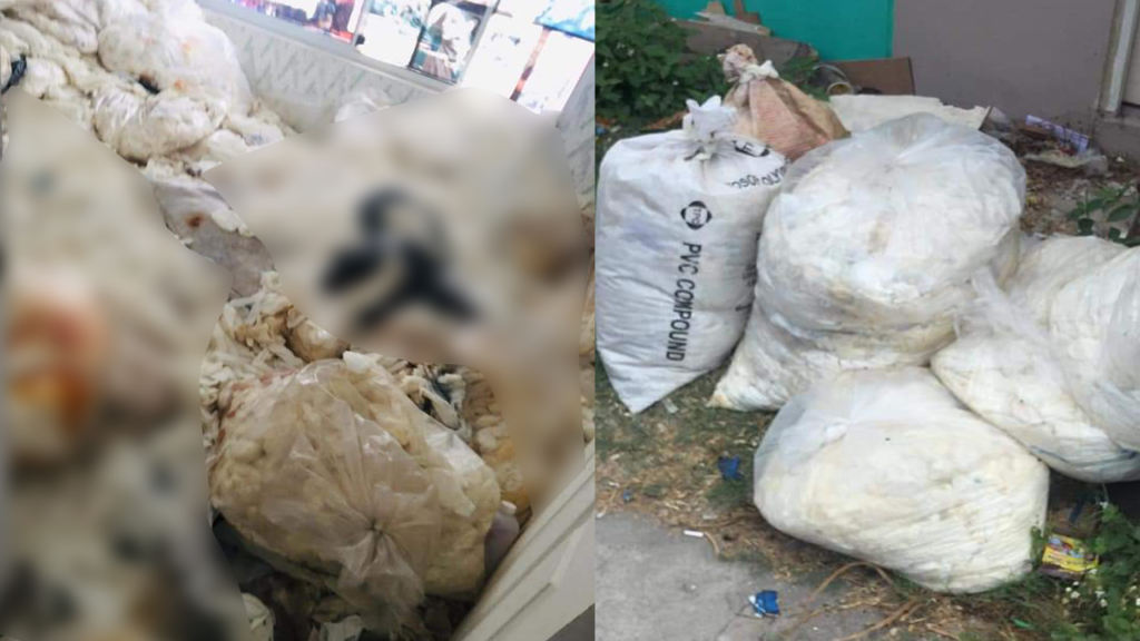 Used Surgical Gloves in Cavite