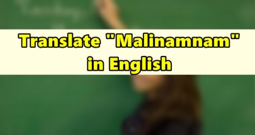 Malinamnam in English