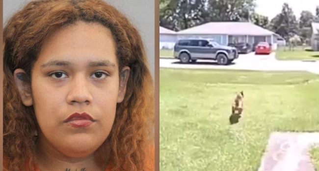 Woman Tries Shooting Puppy But Accidentally Shoots Son