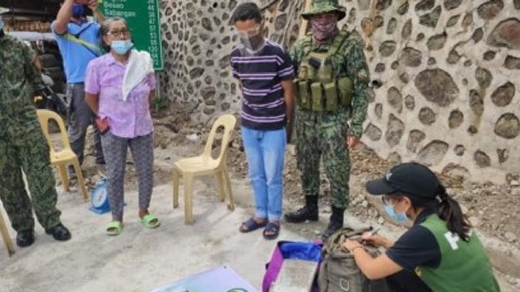 Illegal Plant Bricks
