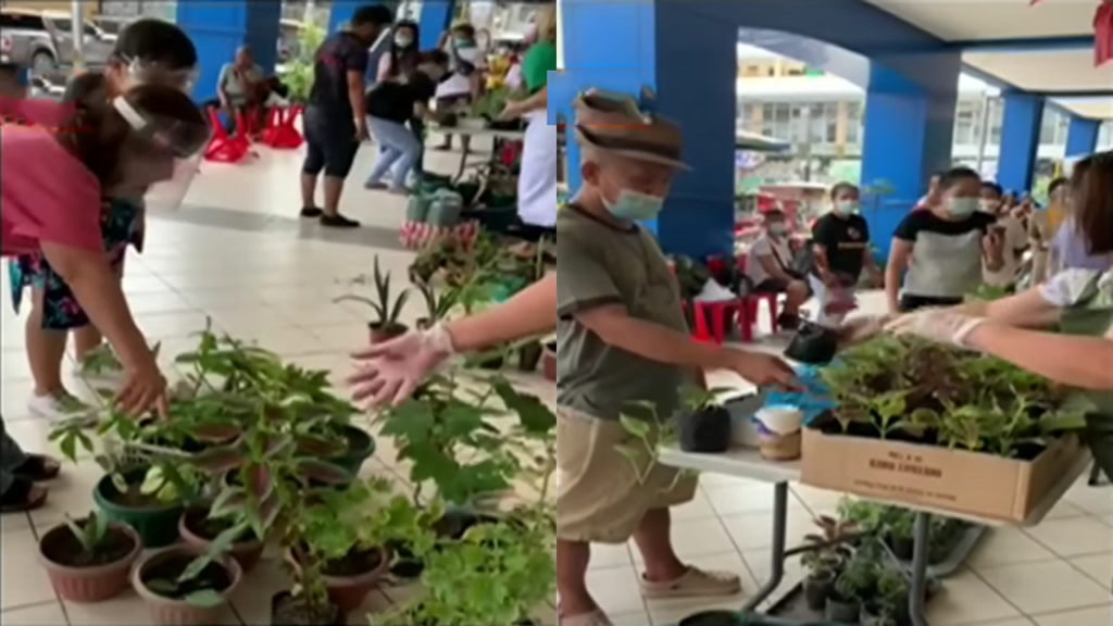 Plantitos Community Pantry