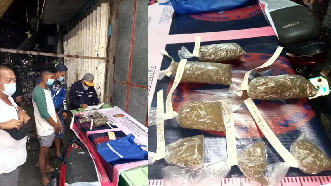 Construction Worker with Illegal Plant Nabbed in Navotas Buy-Bust