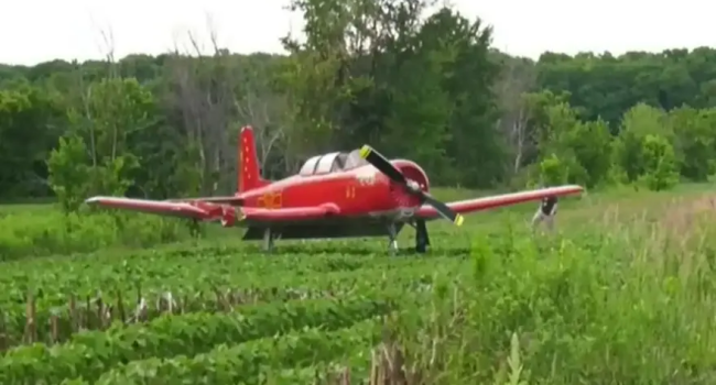 Woman Mowing Grass Dead After Plane Crash Landed On Her