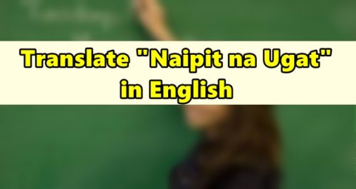 Naipit na Ugat in English