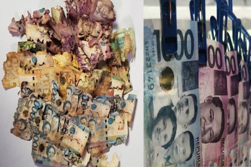 Bangko Sentral ng Pilipinas