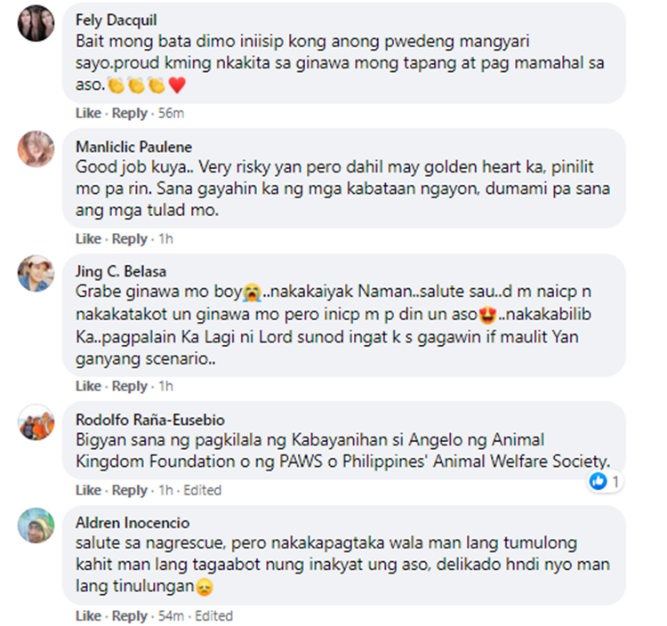 Grade 10 Student