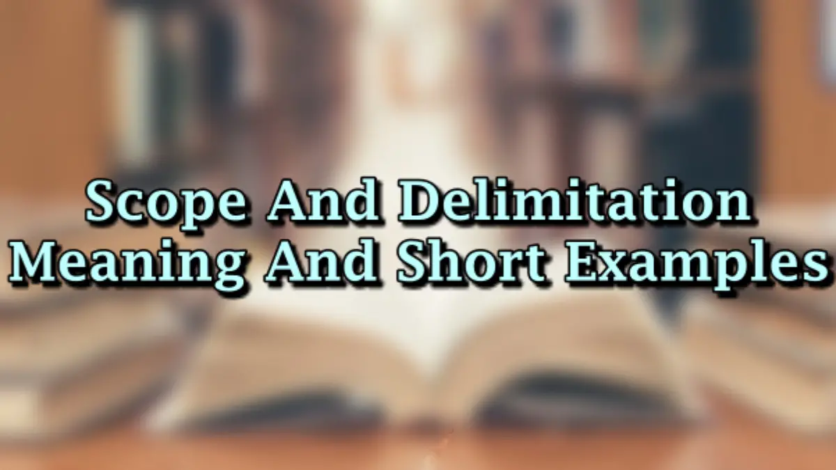 sample scope and delimitation