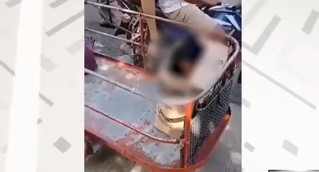Parents Hide 5-Year-Old In Box To Smuggle Child Across ECQ Checkpoint