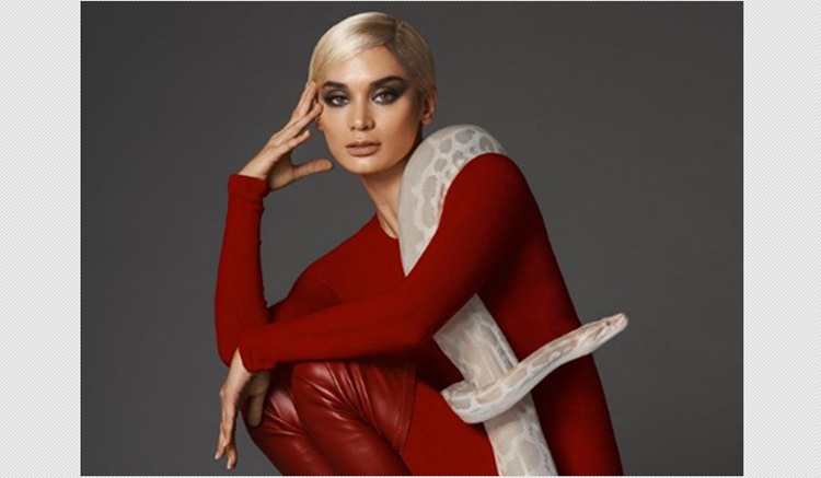 pia wurtzbach