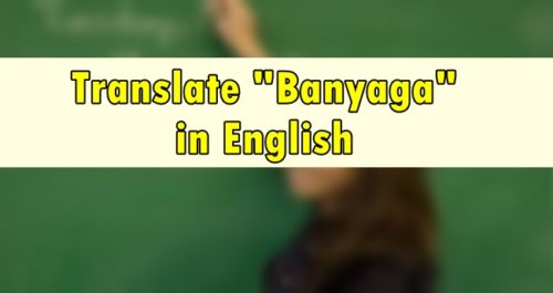 Banyaga in English