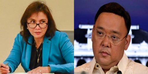 Leni Robredo, Harry Roque