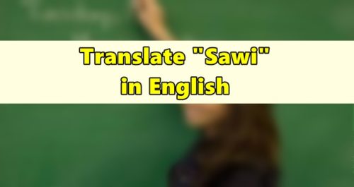 Sawi in English