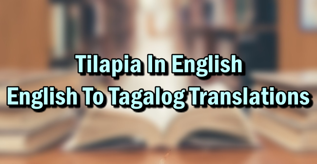 tilapia galilaea pronunciation