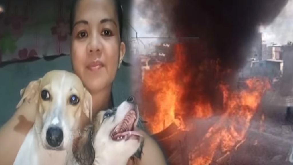 Dogs Sacrifice Lives