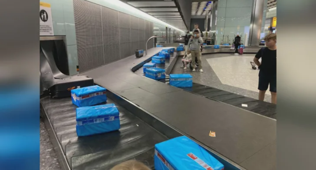 Luggage Turns To Frozen Fish Crates, Passengers Left Confused
