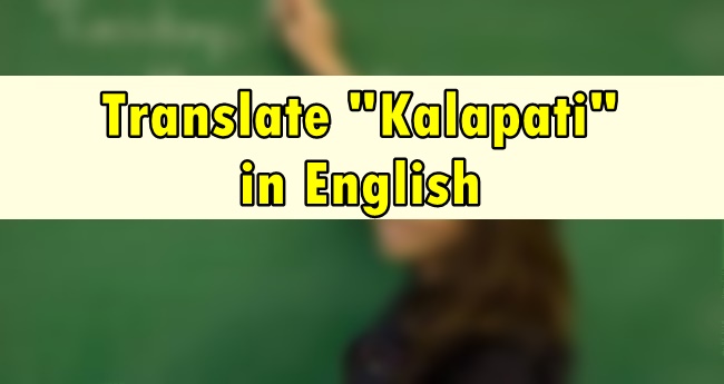 Kalapati in English - Translate 