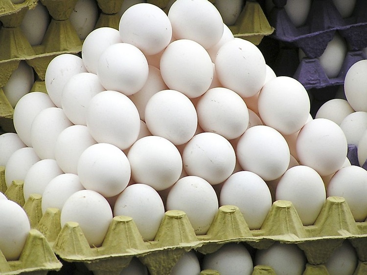 Egg Supply