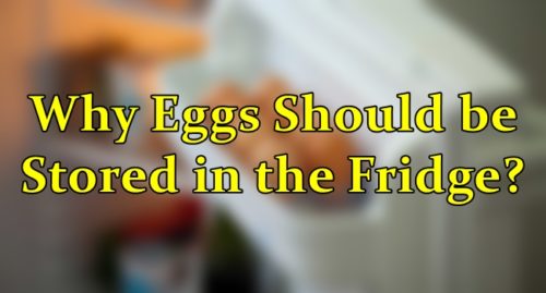 why-eggs-should-be-stored-in-the-fridge