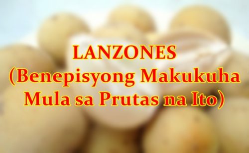 Lanzones