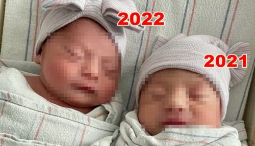 twins born in different years